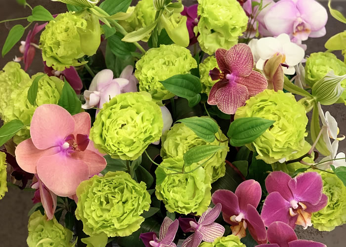 アレンジメントお祝い 画像3