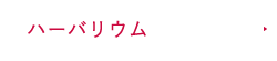 ハーバリウム