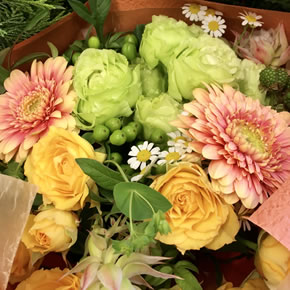 ボリュームや内容により価格が変わります。