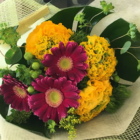 ボリュームや内容により価格が変わります。