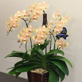 ボリュームや内容により価格が変わります。