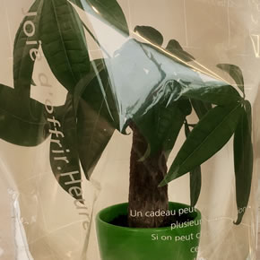 ボリュームや内容により価格が変わります。