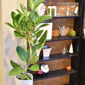 ボリュームや内容により価格が変わります。