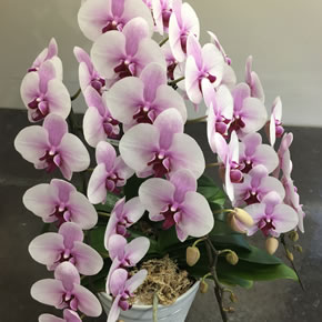 ボリュームや内容により価格が変わります。