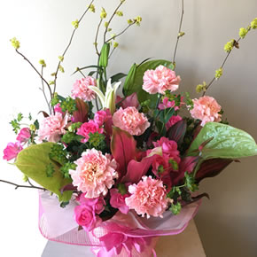 8,000円（税別）