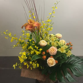 10,000円（税別）