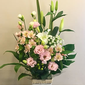 5,000円（税別）