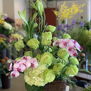 8,000円（税別）