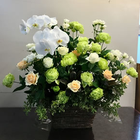 10,000円（税別）