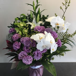 20,000円（税別）