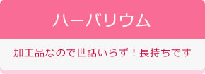 ハーバリウム 加工品なので世話いらず！長持ちです